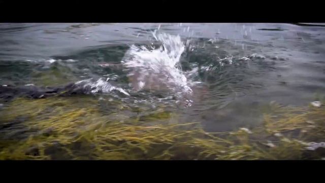 Дальняя титовка - турбаза на краю света