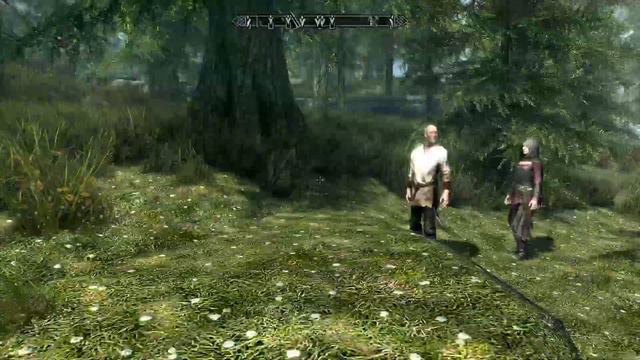 How to get 3 followers in skyrim
(read the description) смотреть онлайн