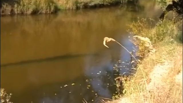 Рыбалка на Боровой смотреть онлайн
