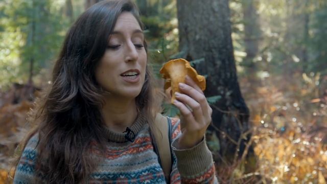From Forest to Table: The Tool I LOVE When Foraging Wild Mushrooms смотреть онлайн