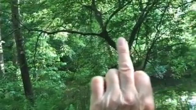 A rare sighting of the Fickle Finger of Fate in the wild. смотреть онлайн