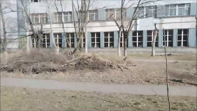 ТАРАКАНОВ НАДО УГОМОНИТЬ,ИНАЧЕ ВЗОРВУТ МОЗГ #рукоделие #vlog #прогулки смотреть онлайн