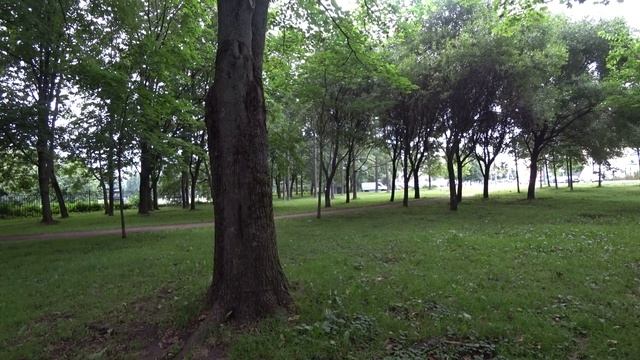 Прайтер 3года, Повтор команды 