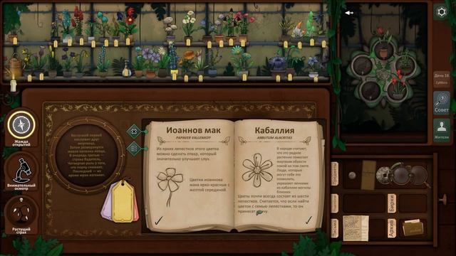 Strange horticulture #13 ❀ Финал смотреть онлайн