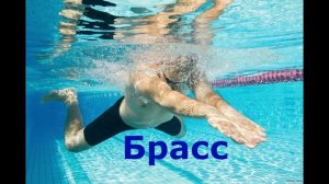 Видео консультация Стили плавания