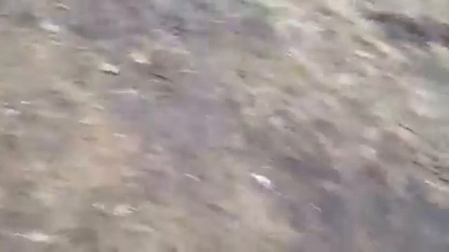 Eine gute Bindung смотреть онлайн