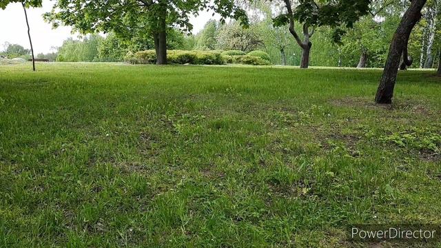 ДЛЯ ТЕХ,КТО СИДИТ НА КАРАНТИНЕ