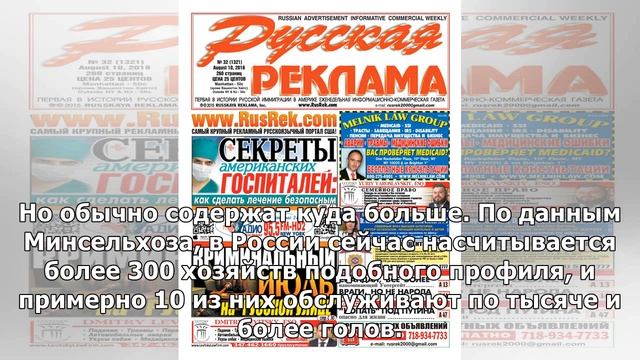 Николай Ушанов: Cadillac в Нижнем. Только на сытый желудок смотреть онлайн