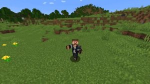 КАК ИГРАТЬ В МАЙНКРАФТ С ДРУГОМ ПО СЕТИ/ИНЕТУ? [MINECRAFT JAVA + BEDROCK]