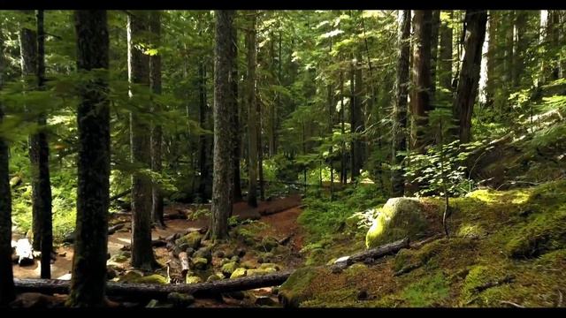 Расслабляющая музыка для сна, медитации и борьбы со стрессом. КЛАССНОЕ ВИДЕО. Relaxation №1. 3 час смотреть онлайн