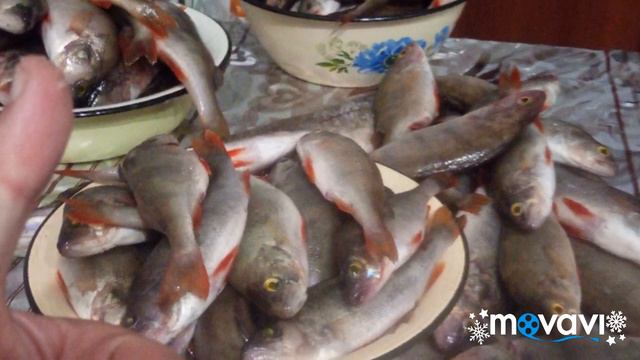 Классные были рыбалки!!! смотреть онлайн