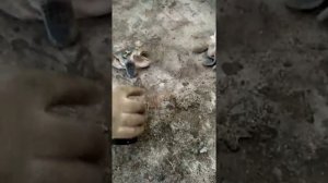 Замена масло Пежо Партнёр