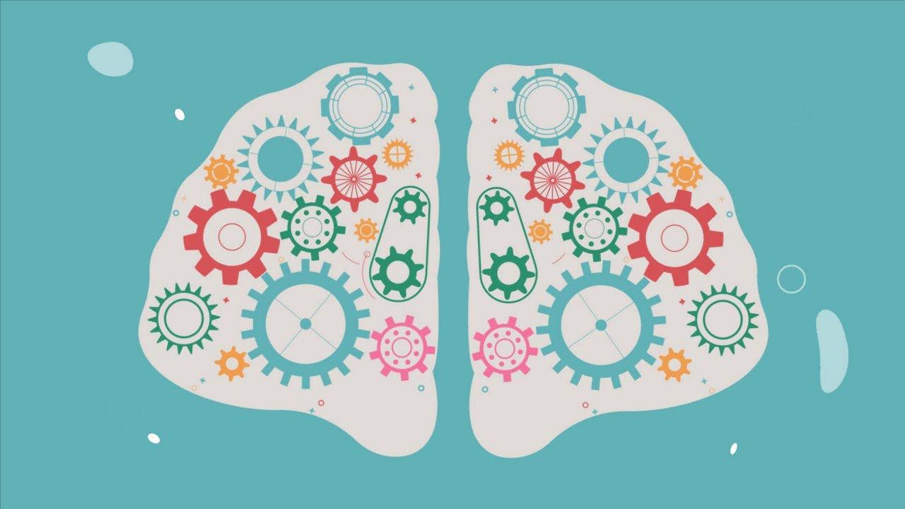 Изготовление анимационных роликов о фактах «Про мозг» описание работы человеческого мозга. смотреть онлайн