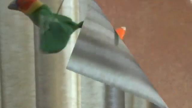 wirebird PRA смотреть онлайн