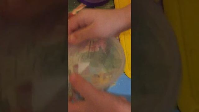 Божья коровка дома смотреть онлайн