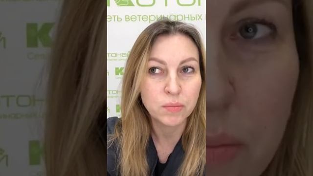 Вторая по значимости причина рвоты и диареи у щенков ? и котят ? смотреть онлайн