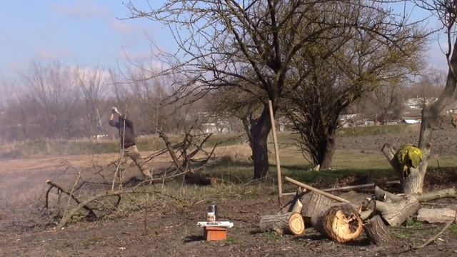 02_ 03_2020_С утра солнышко,тепло.Продолжаю готовить участок.mp4 смотреть онлайн