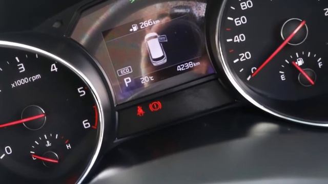 2018 Kia Carnival YP MY19 S Clear White 8 Speed Sports Automatic Wagon смотреть онлайн