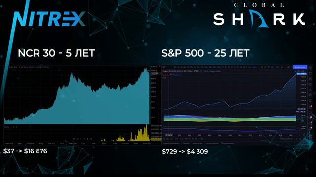 NCR30 Nitrex Crypto Rebalancer презентация возможностей смотреть онлайн