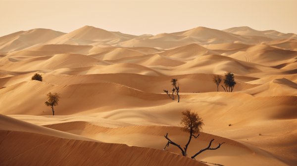 Песчаные дюны пустыни и таинственная ближневосточная музыка для медитации и снятия стресса