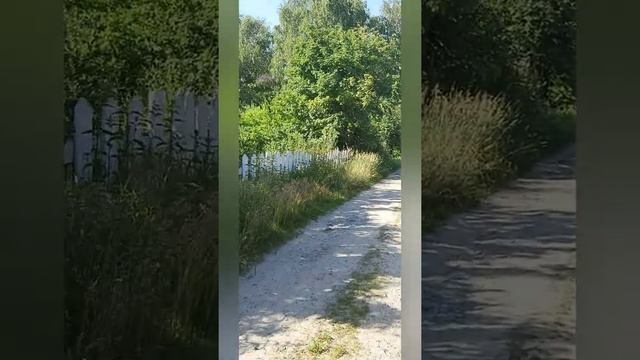 Дача Тюмень Снт Автомобилист смотреть онлайн