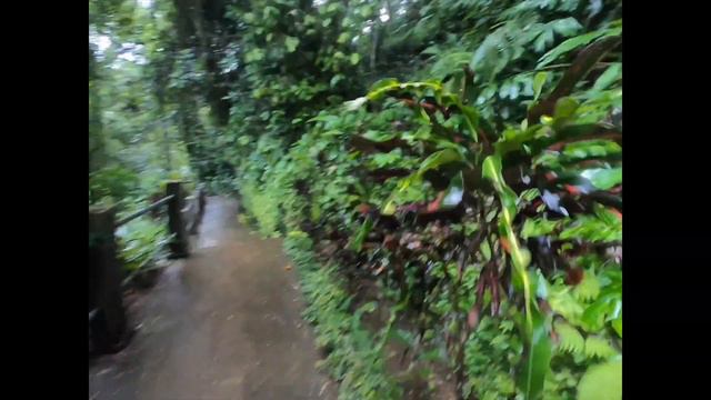 Waterfall Adventures in Ubud, Bali: Kanto Lampo, Tibumana and Pengibul смотреть онлайн