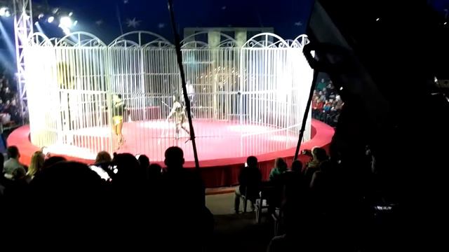 ЕвроЦирк- Лев скачет на лошади!) смотреть онлайн