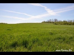 Органический фермер Иван Новичихин. Принципы органического земледелия