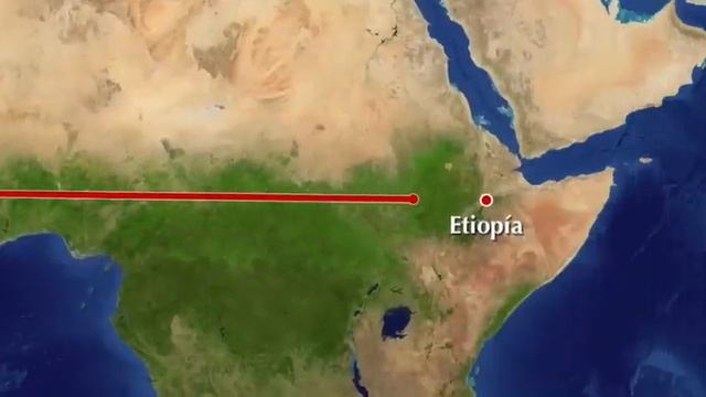 Australopithecus Anamensis y Australopithecus Afarensis смотреть онлайн