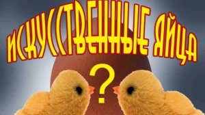 Искусственные яйца появились на прилавках.