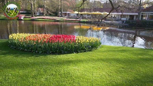 Парк Кекенхоф 2019 Keukenhof