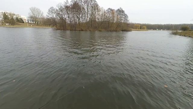 Выбор спиннинга для твичинга. 2 выпуск. Супер БЮДЖЕТ. Maximus Butcher. Спиннинг для начинающего. смотреть онлайн