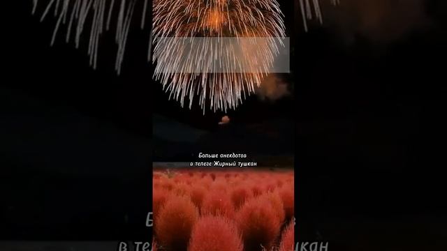 Анекдот как мужику везде везло #приколы #юмор #ржака #мемы смотреть онлайн