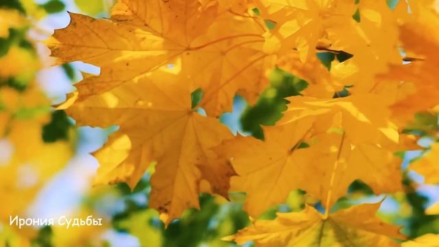 -Выметайся из квартиры, я скоро хозяйкой буду! - заявила любовница жене, но... смотреть онлайн