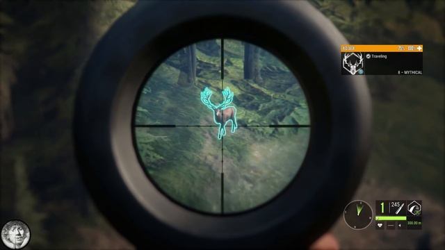 DIAMOND BOAR?! Why YOU should do more MULTIPLAYER! Hirschfelden [TheHunter: Call of the Wild 2019] смотреть онлайн