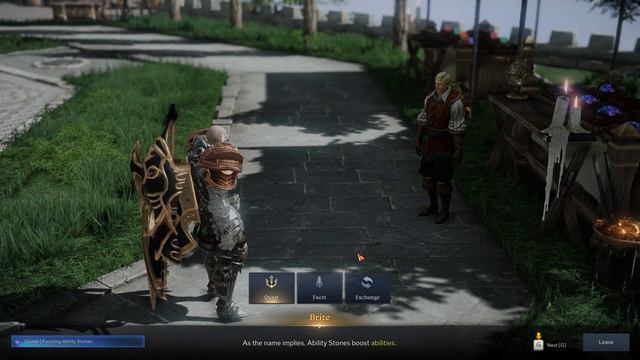 Faceting Ability Stones, Lost Ark Quest смотреть онлайн
