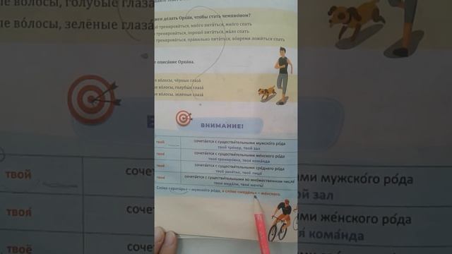 Rus dili.6sinif. urok8 смотреть онлайн