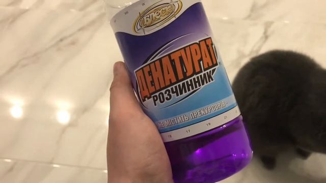Как отмыть кухонную мебель и душевую кабину ?ответ есть! смотреть онлайн