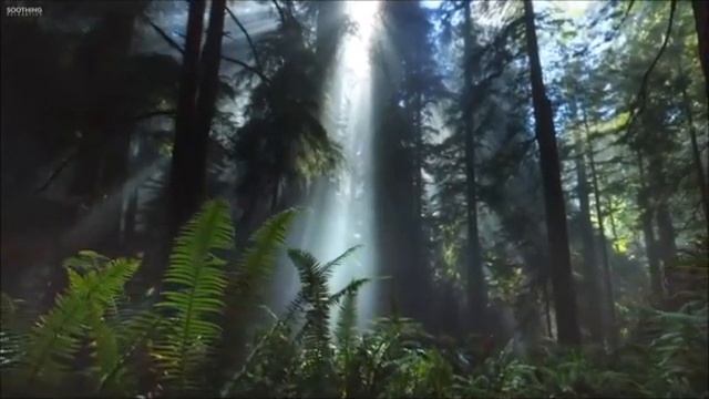 Soundcraft Ui-12 дэмо запись на флешку смотреть онлайн