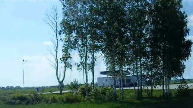 САМАРА. Березы у дороги. смотреть онлайн