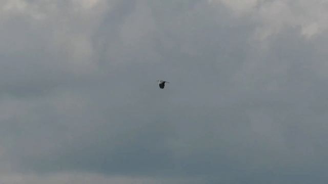 №3618 1 июля 2023 года На озере смотреть онлайн