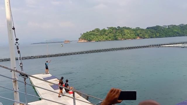 OCEAN ADVENTURE DOLPHIN SHOW | SUBIC | WELLNESS MAPEH смотреть онлайн