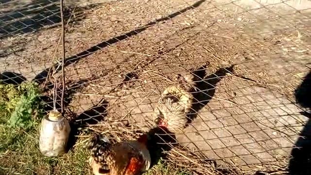 VID 20181007 153051 смотреть онлайн