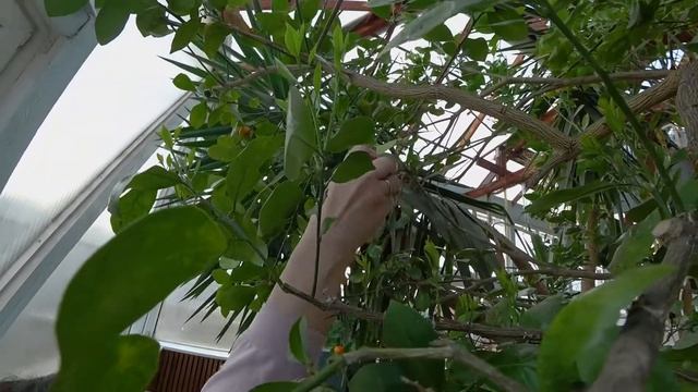 Новолукомль. март 2022. Дайвинг в Беларуси смотреть онлайн