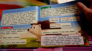 Животные на ферме | 7 выпуск | DeAgostini