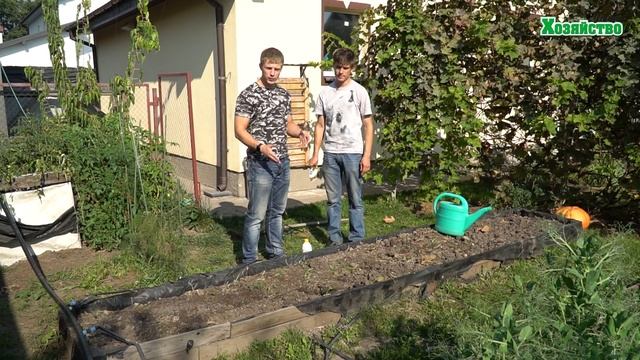 Какие микробы поселить в почве? смотреть онлайн