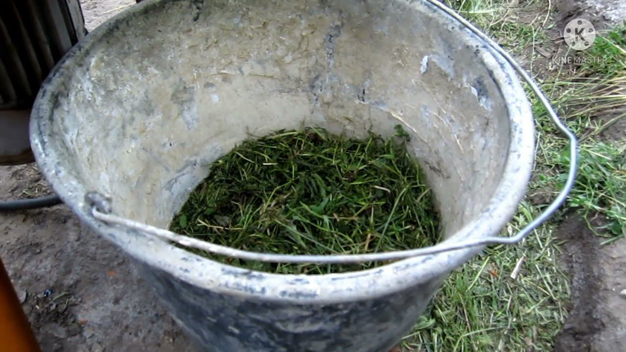 Смотри как Траворезка рубит траву . Делаем и отправляем! смотреть онлайн