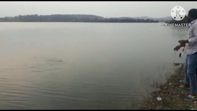 fishing rohu catch subscribe kaise badhaen how to crack youtube channel смотреть онлайн