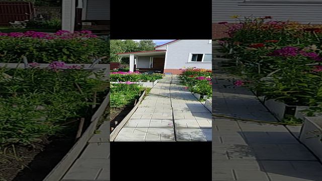 Моя дача в конце июля. смотреть онлайн