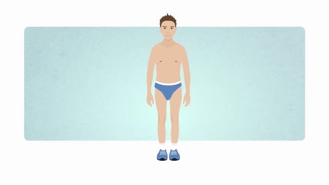 Почему все люди разные? Одни стройные, а другие нет? смотреть онлайн